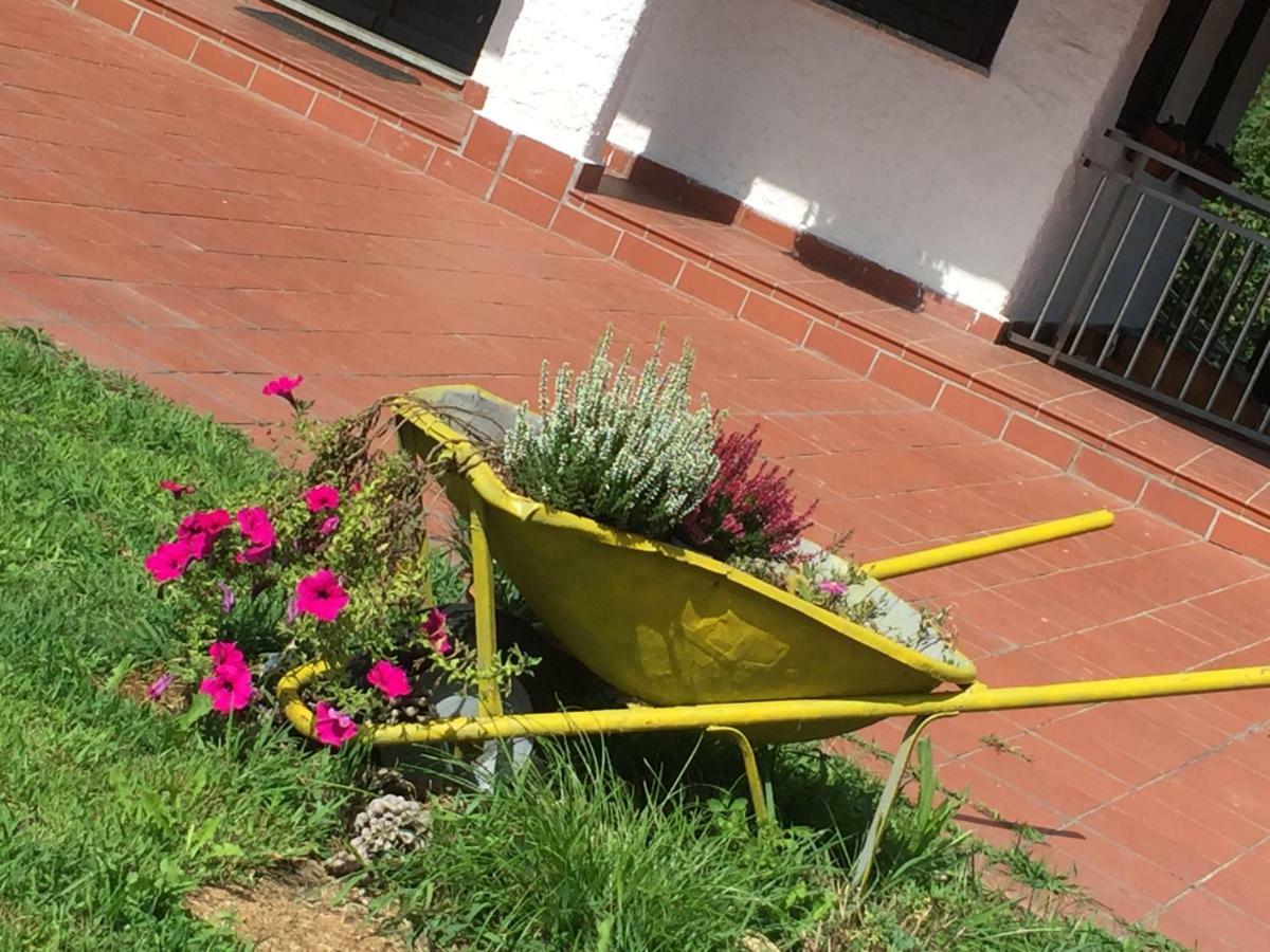 Progetto Vacanze Invorio Inferiore Buitenkant foto